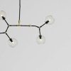 Other * | Nuevo Atom 5 Pendant Modern Lighting